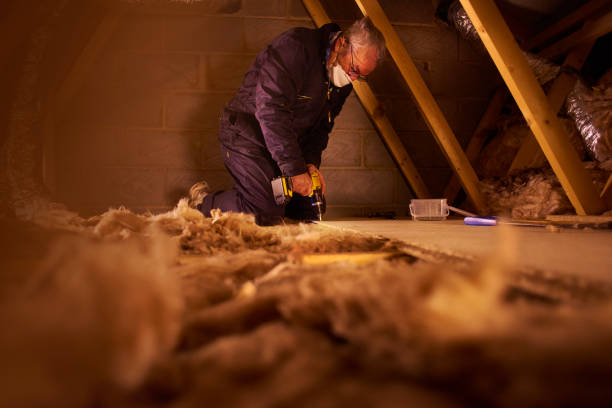 Best Geographic-Specific Insulation Services in Alexander, AR